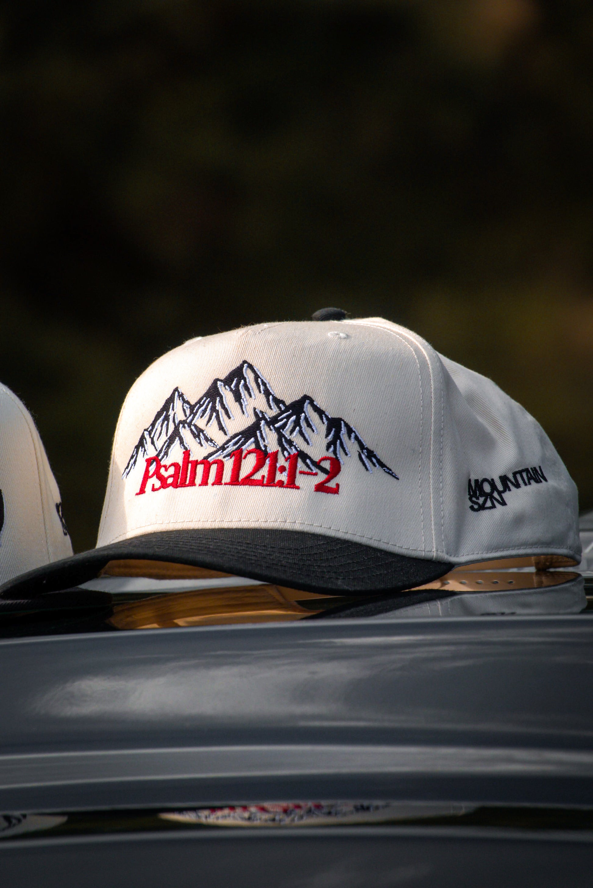 Psalm 121:1-2 Snapback Tan
