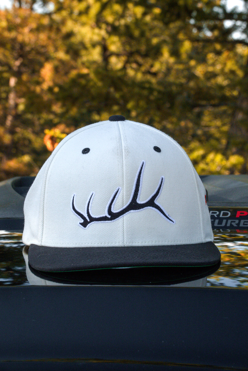 Elk Icon Flat Snapback