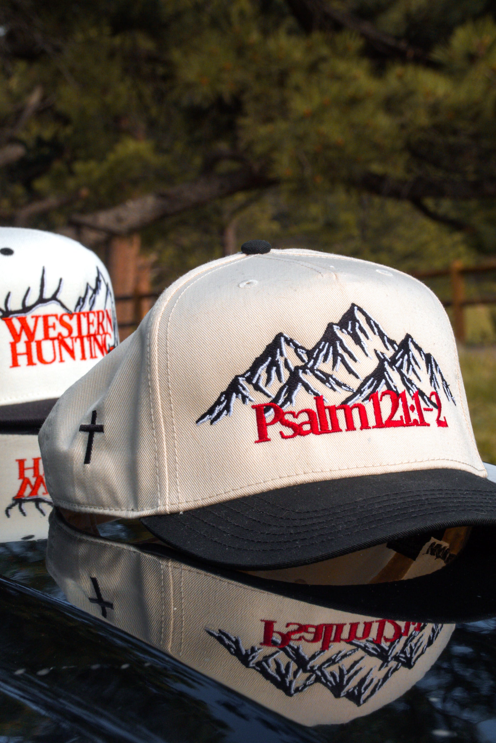 Psalm 121:1-2 Snapback Tan