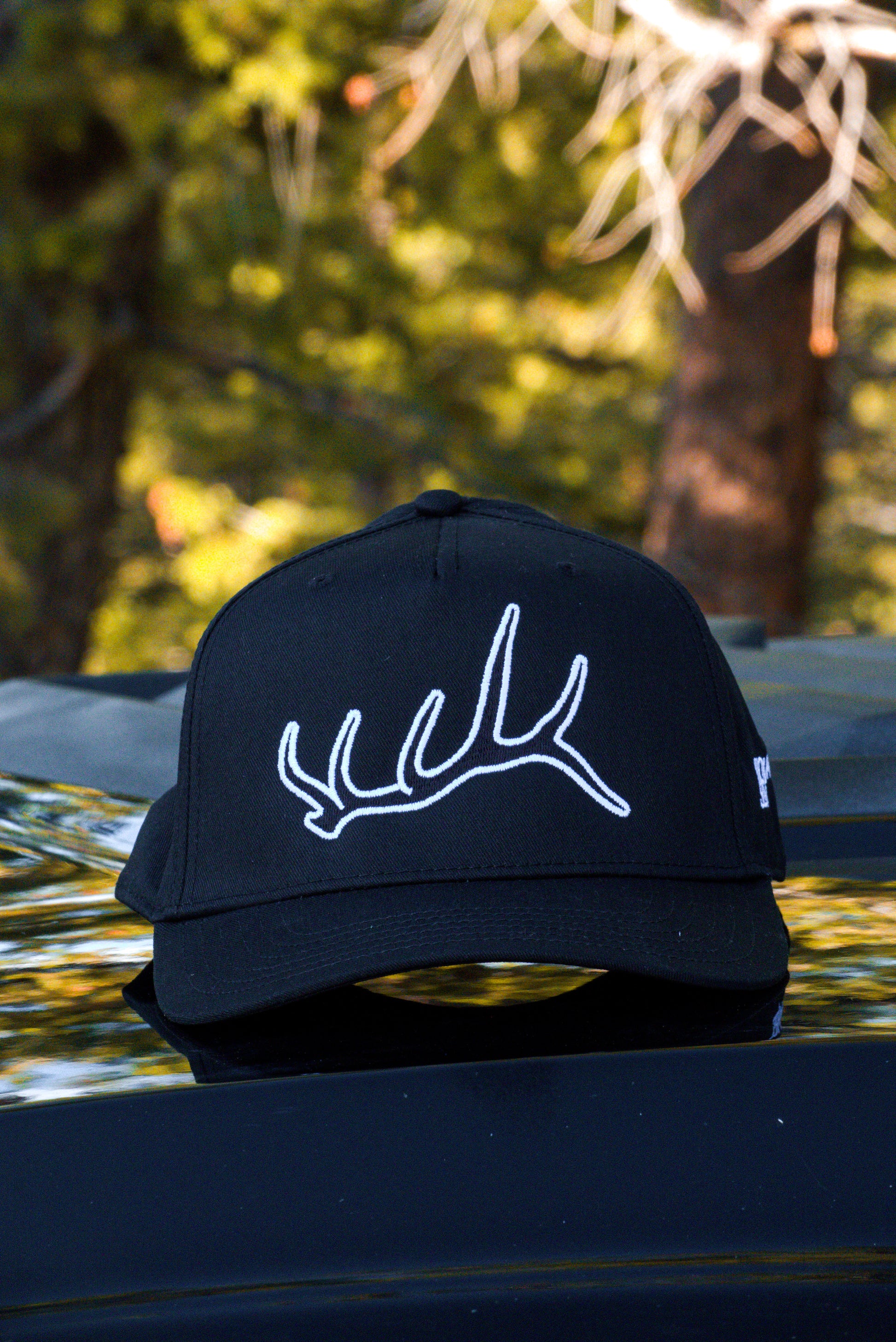 Elk Icon Snapback Black