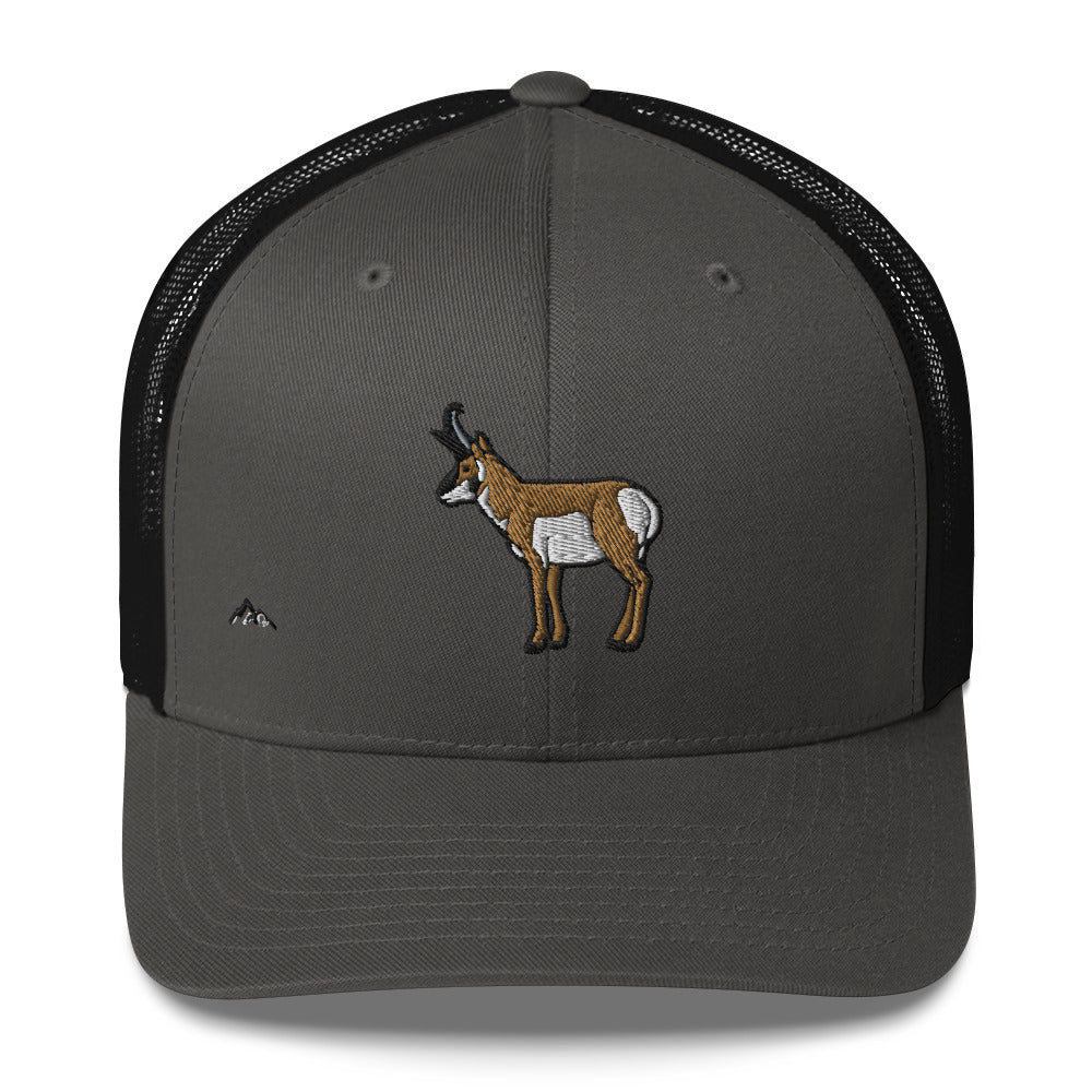 Pronghorn Hat