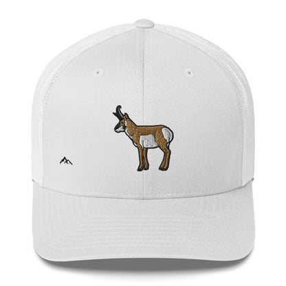 Pronghorn Hat